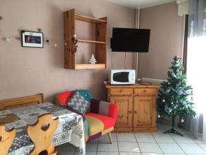 a living room with a christmas tree and a television at Au pieds des 3 vallées in Brides-les-Bains