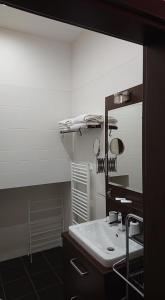 Vonios kambarys apgyvendinimo įstaigoje Apartmán Panorama 308