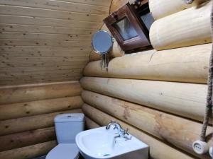 een badkamer met een toilet, een spiegel en een wastafel bij Cottage house Niniela in Batoemi +40 foto's