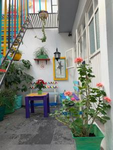 Giardino di Monkey Safari Hostel