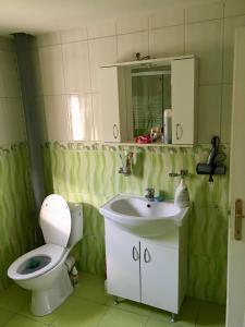 a bathroom with a toilet and a sink at Cabana Baraj Apuseni Mountains in Mihoeşti +37 photos