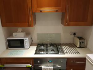 Kuchyň nebo kuchyňský kout v ubytování Glen View Apartments