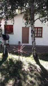 two trees in front of a house with a building at Casa Sur in El Bolsón