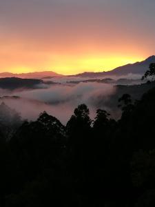 a view of a foggy valley with trees at sunset at Ohiya Mount Plaza in Boralanda