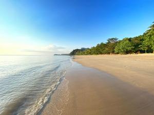 ジュム島にあるCha Cha Bungalowの遠くに水と木が生い茂る海岸