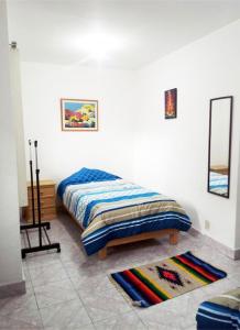 een slaapkamer met een bed, een spiegel en een tapijt bij Terraza Tlalpan-Acoxpa in Mexico-Stad