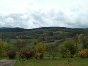 a view of a green field with trees and hills at Gîte Meublé in Anost