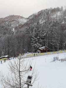 a group of people skiing on a snow covered slope at 19 RESIDENCE apartment in Cavnic