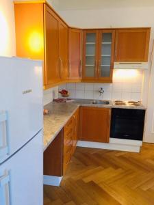 a kitchen with wooden cabinets and a white refrigerator at Apartment Marktplatz in Basel