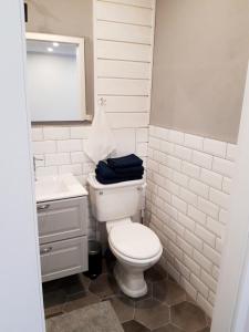 Kylpyhuone majoituspaikassa Alytus Ziburio studio
