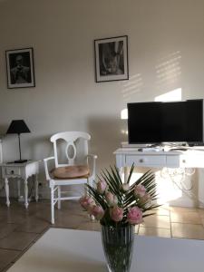 TV a/nebo společenská místnost v ubytování Cannes, la Croisette, Palais Miramar