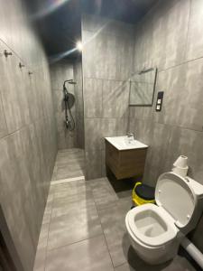 a bathroom with a toilet and a sink at Appartement Studio Tournai in Tournai