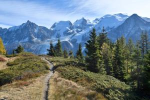 um trilho numa montanha com montanhas ao fundo em Face Mont-Blanc em Passy