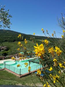 a swimming pool with yellow flowers in the foreground at Residence Il Monastero in Pomarance