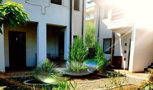 a house with plants in front of a building at Pensiunea Casa Blanca in Sulina