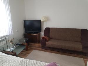 a living room with a couch and a flat screen tv at AgroJust in Białowieża