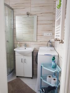 małą łazienkę z umywalką i lustrem. w obiekcie AgroJust w Białowieży