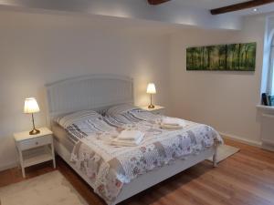 een slaapkamer met een bed met twee lampen erop bij Haus Moritzburg in Bad Schandau