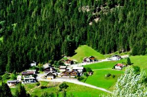 Příroda nedaleko apartmánu