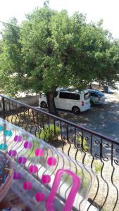 Ein Garten an der Unterkunft Apartments Vrša