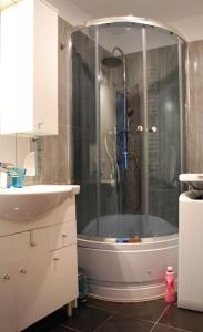 ein Badezimmer mit einer Dusche, einem Waschbecken und einer Badewanne in der Unterkunft Apartament - Aloha 37m2 na parterze in Bytom