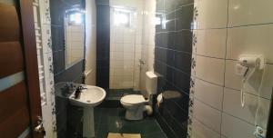 a small bathroom with a toilet and a sink at Casa Teodora in Baile Felix