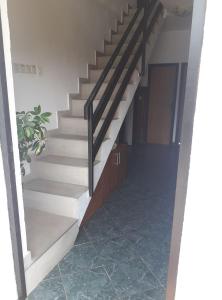a staircase in a house with a potted plant at Apartments Vrša in Seline