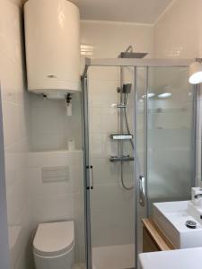 a bathroom with a shower and a toilet and a sink at Magnifique studio plein centre à 50m de la plage in Saint-Jean-de-Luz