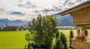 a tree in a field next to a house at Apart Tyrol in Uderns