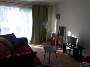 ein Wohnzimmer mit einem Sofa und einem TV in der Unterkunft Bienvenue chez les GIBBS! in Sury-en-Vaux