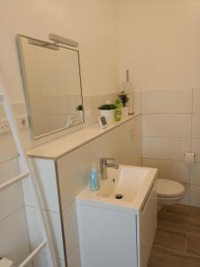 uma casa de banho com um lavatório, um espelho e um WC. em Strietpartment - 2 Schlafzimmer, viel Raum und Ruhe em Aschaffenburg