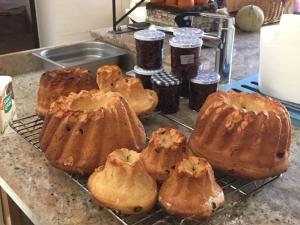 a bunch of pastries sitting on a cooling rack at L'Escampe in Saturargues