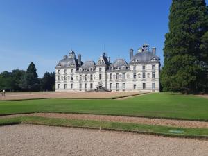 um grande castelo branco com um relvado verde em BELEM em Romorantin-Lanthenay