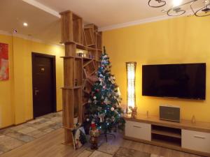 A television and/or entertainment centre at Hotel Soft