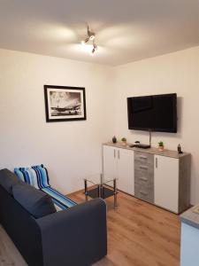 sala de estar con sofá y TV de pantalla plana en 30 qm Apartment super zentral in Melsungen, en Melsungen