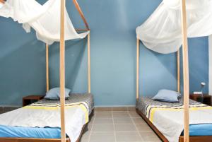2 Etagenbetten in einem Zimmer mit blauer Wand in der Unterkunft HANIALA BY THE SEA in Mahajanga