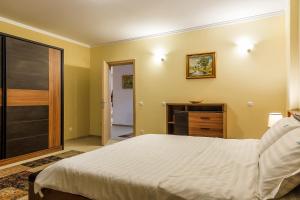 1 dormitorio con 1 cama grande y vestidor en IRIS LUXURY, en Olimp