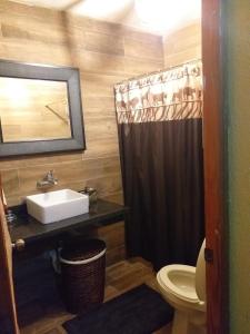 a bathroom with a sink and a toilet and a mirror at Villa Maria Paula in Jarabacoa