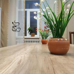 Φωτογραφία από το άλμπουμ του TwinHouse Karakol σε Karakol +15 φωτογραφίες