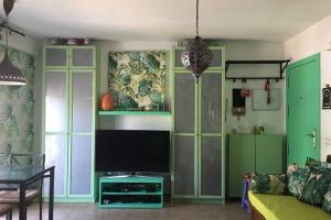 Televízia a/alebo spoločenská miestnosť v ubytovaní One bedroom penthouse