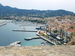 a view of a harbor with boats in the water at Studio proche de la mer in Calvi