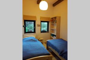 a bedroom with two beds and two windows at Entspannen im Dorf am See in Zahren