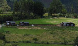 un grupo de casas en un campo de hierba en Cabañas Mirador Lago Ranco en Lago Ranco