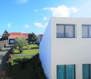 a white building next to a yard with palm trees at Surf & Guest Lorena´s House in Ribeira Grande