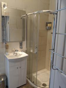 a bathroom with a shower and a sink at Hunters Lodge B&B in Waterford