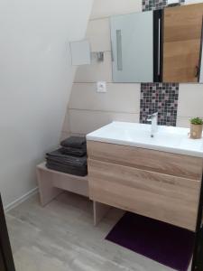 uma casa de banho com um lavatório e um espelho em " Les Lofts de Mérigonde " em Castres