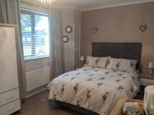 a bedroom with a bed and a window at Hunters Lodge B&B in Waterford