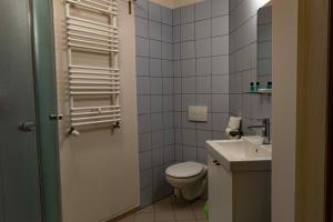 a small bathroom with a toilet and a sink at Pensjonat i Restauracja Laguna in Pogorzelica