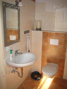 a bathroom with a sink and a toilet at Ferienhaus auf dem Hof Lechner in Drieschnitz