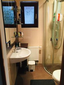 een badkamer met een wastafel en een douche bij Vida Real Estate Feucht in Feucht